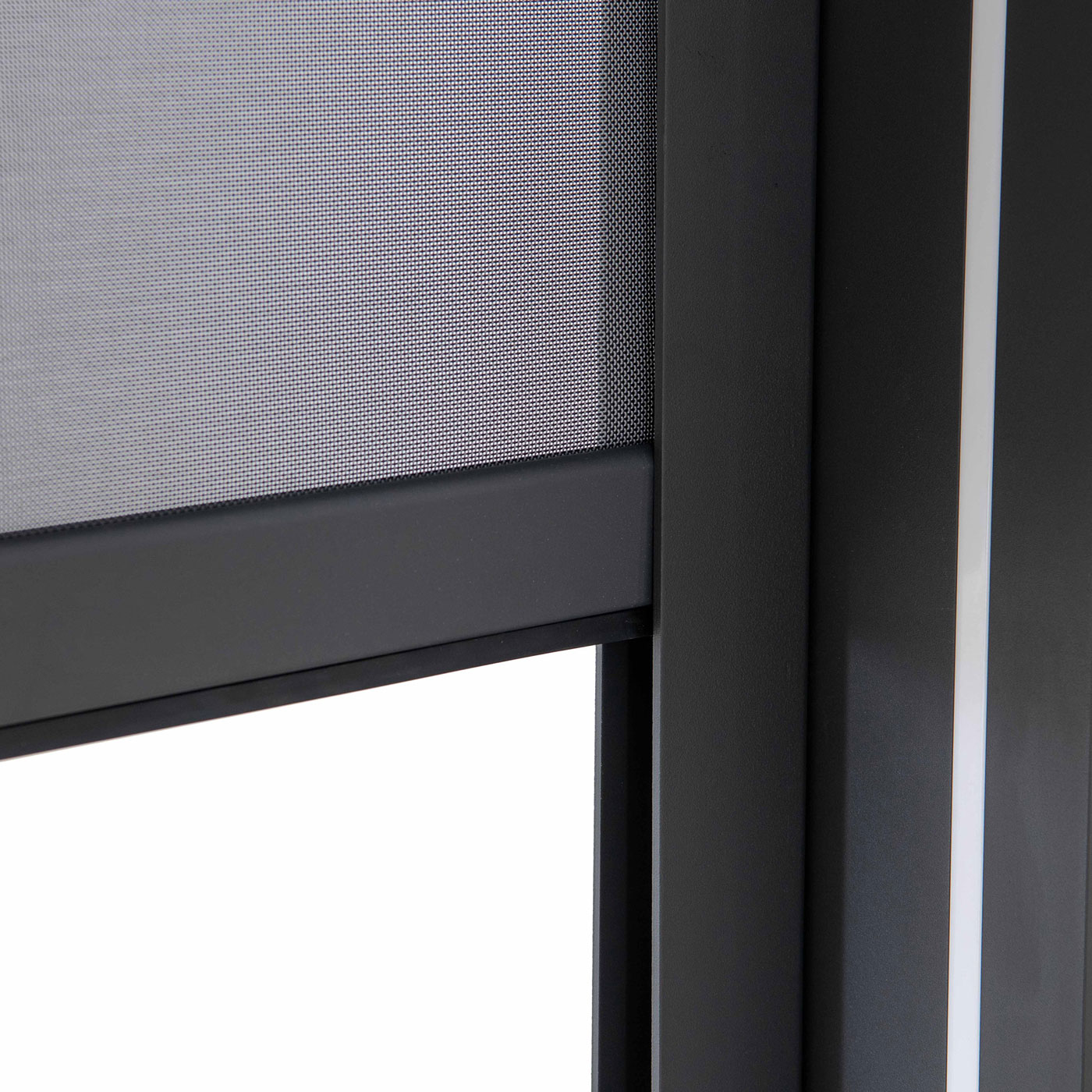 Pilkas roletas pavesinei