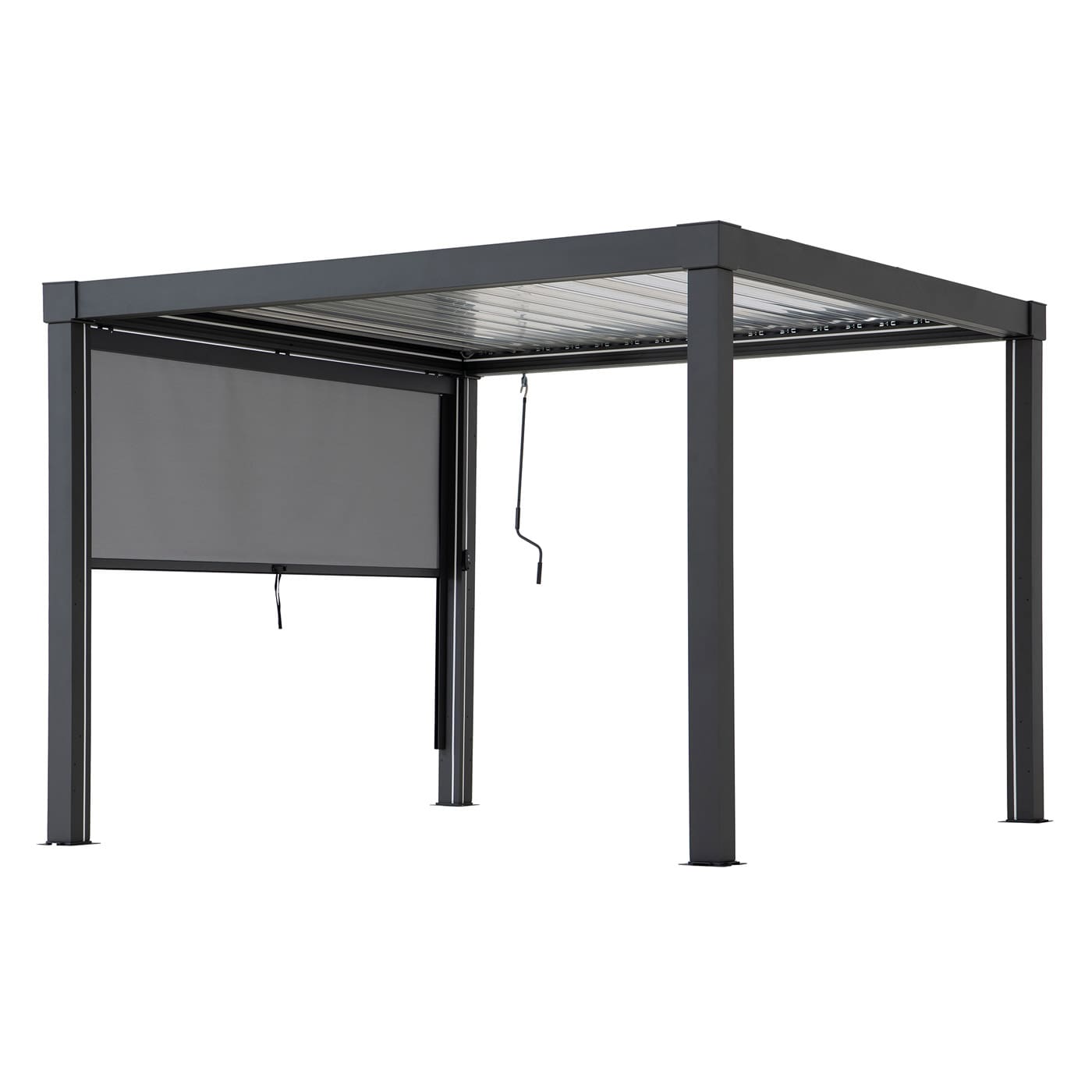 Pilkas roletas pavesinei