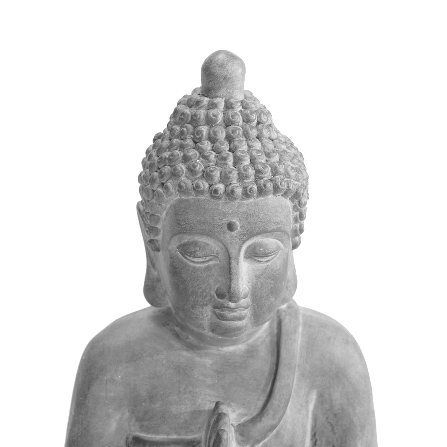 Budos galva, baltame fone