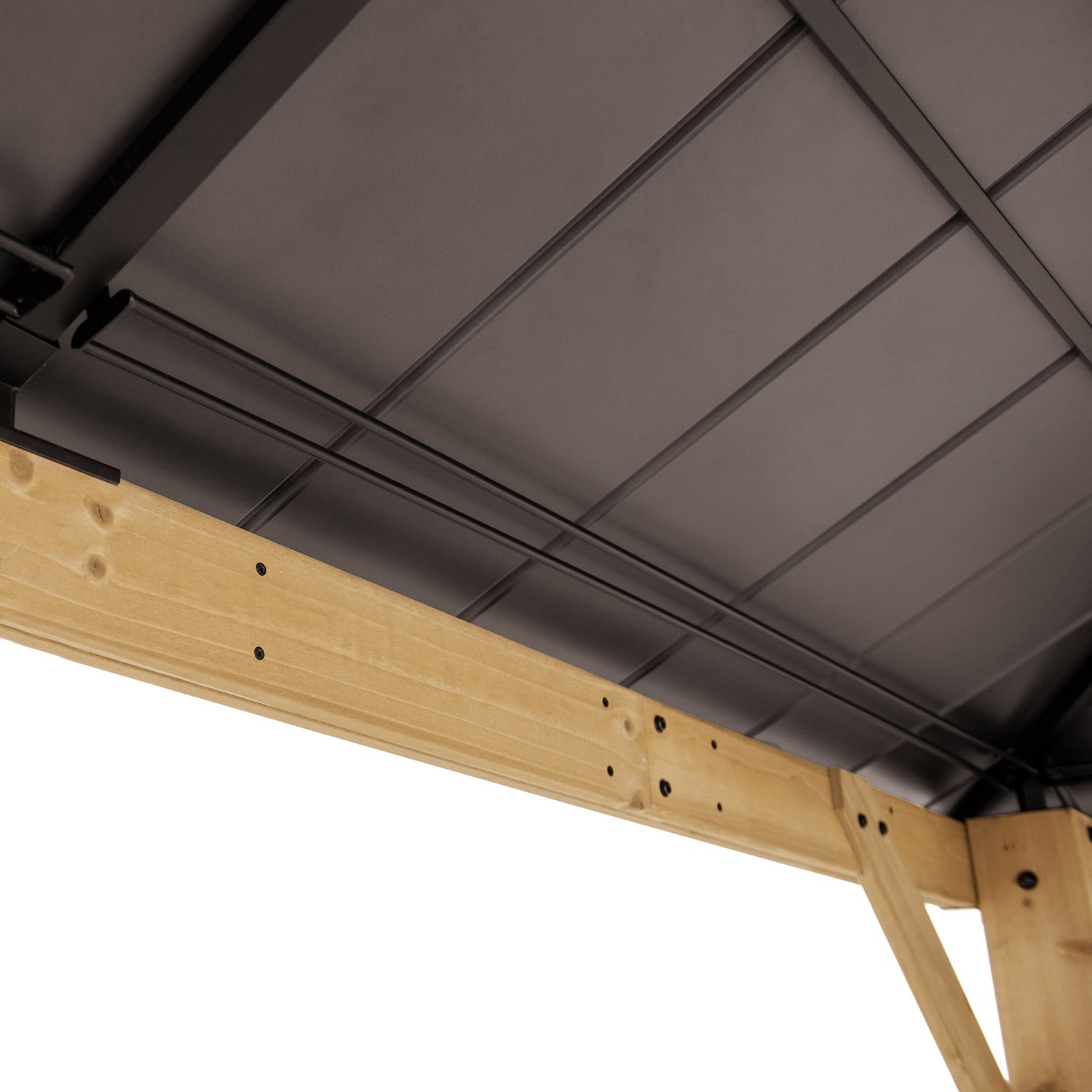 Sodo_pavesines_is_medzio