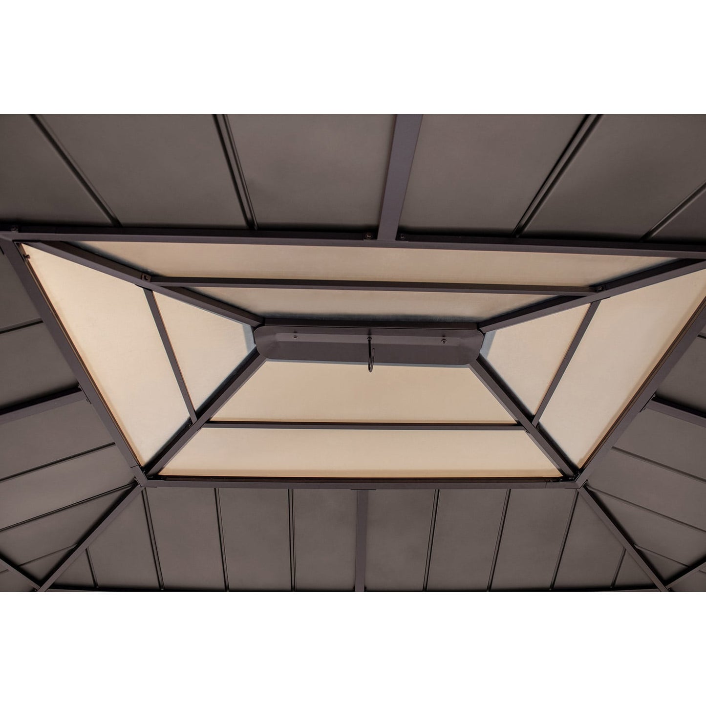 Sodo_pavesines_is_medzio